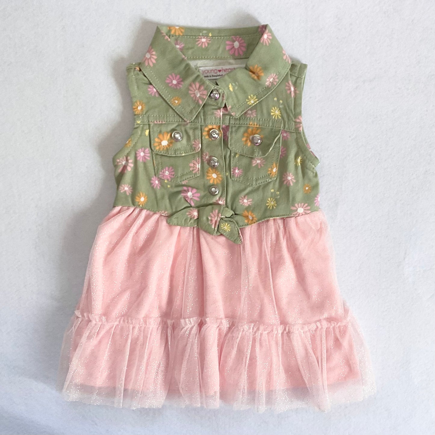 2 pc. Dress set (12 months)