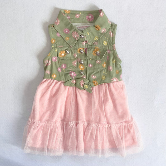 2 pc. Dress set (12 months)