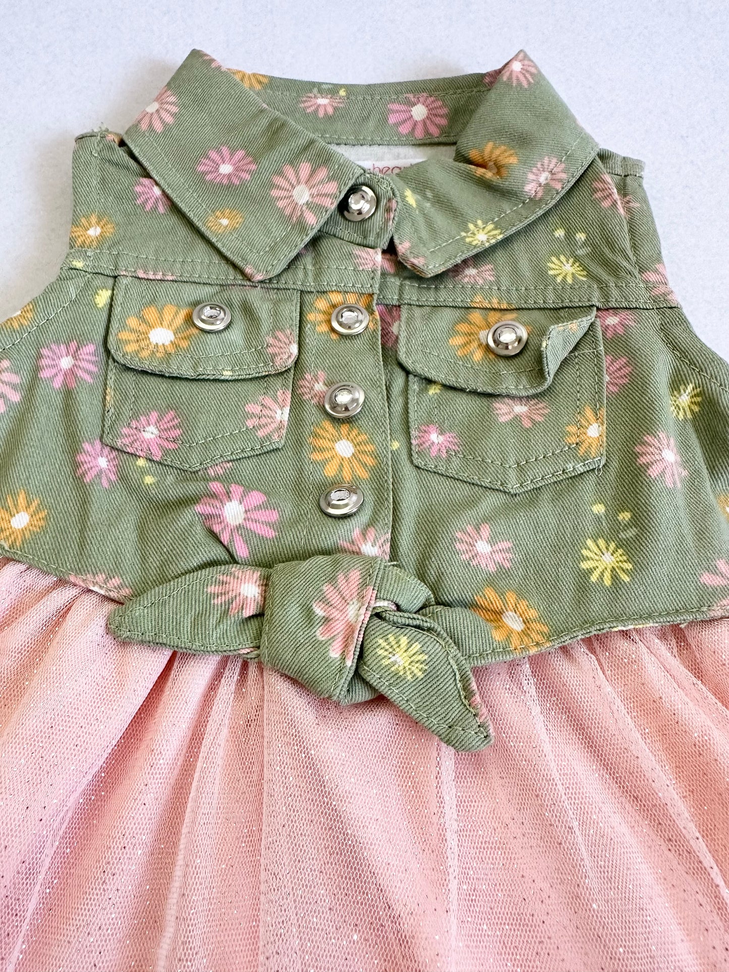 2 pc. Dress set (12 months)